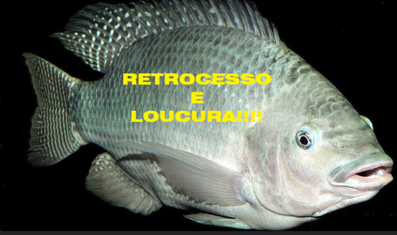 RETROCESSO E LOUCURA.png