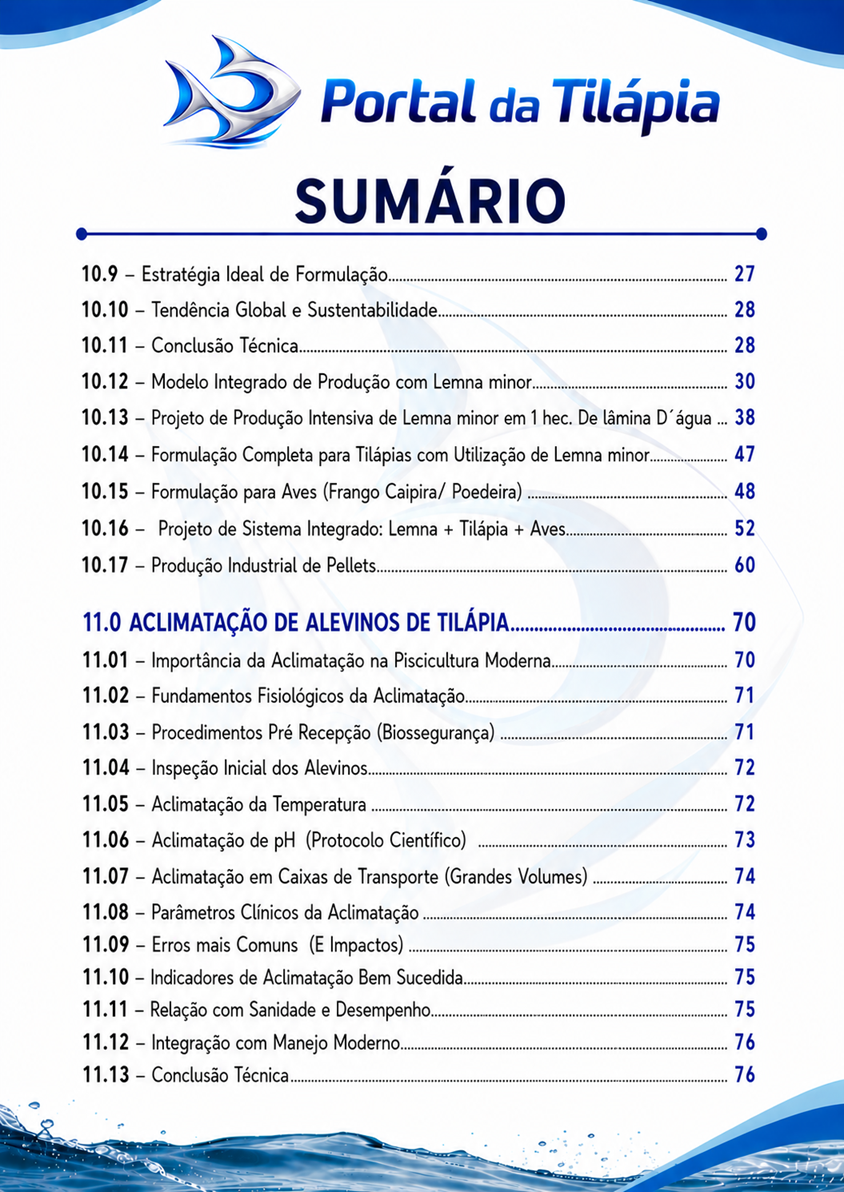 sumario livro 4.2.png